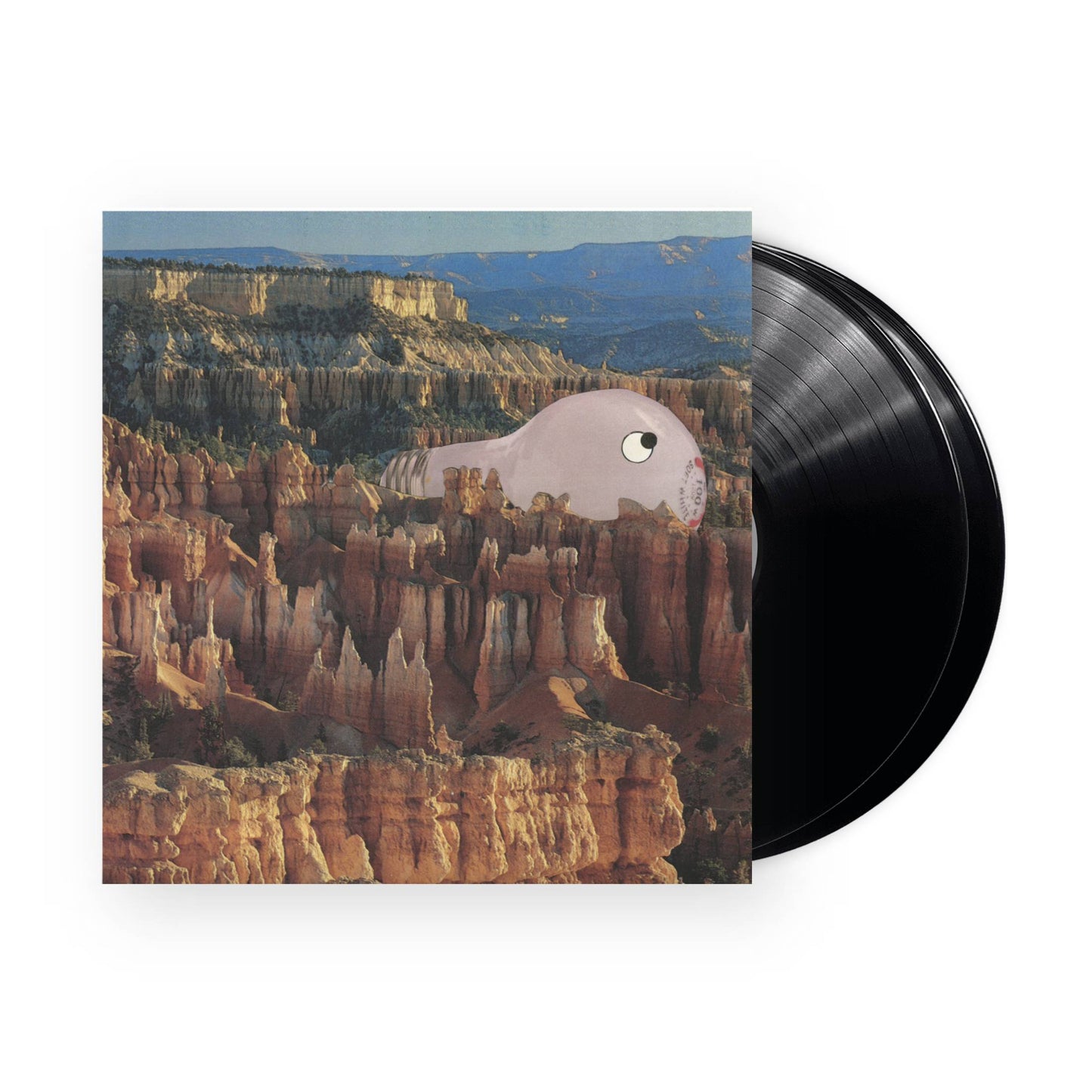 Sana Shenai – Warm Former 2xLP (schwarzes Vinyl)