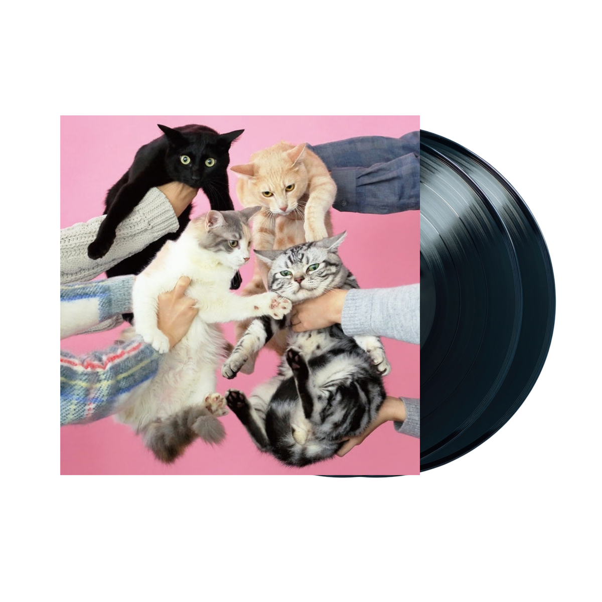 Kinoko Teikoku - Nekoto Allergie 2xLP (Black Vinyl)