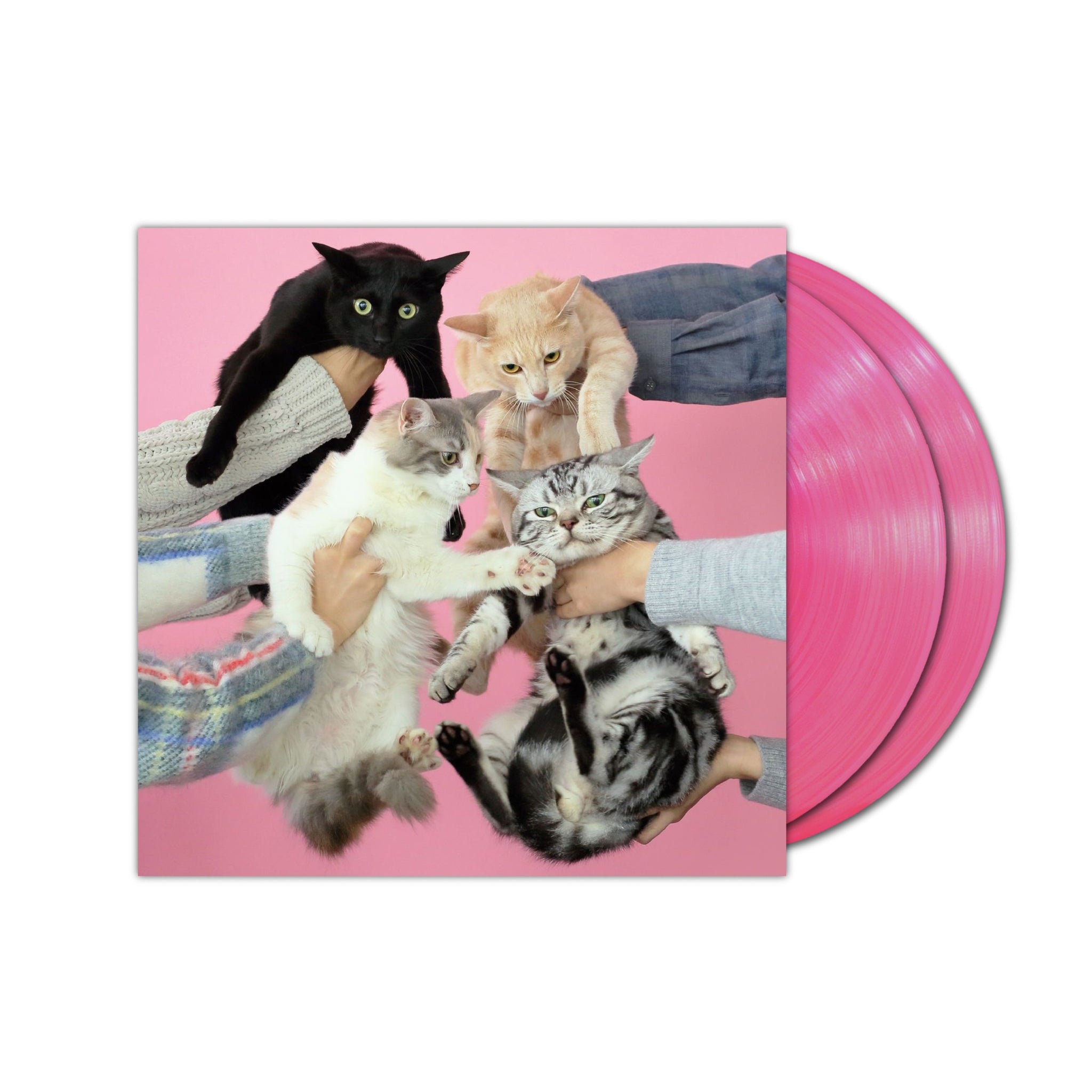 Kinoko Teikoku - Nekoto Allergie 2xLP (Clear Pink Vinyl)