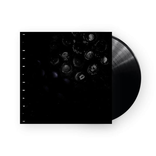 Crumb – Ice Melt LP (schwarzes Vinyl)