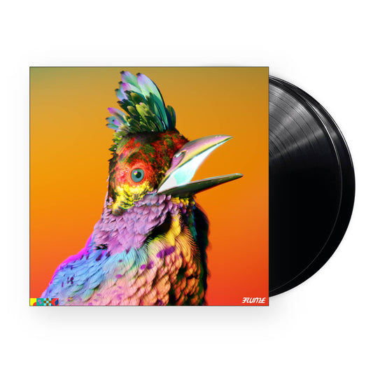 Flume - Palaces 2xLP (Black Vinyl)