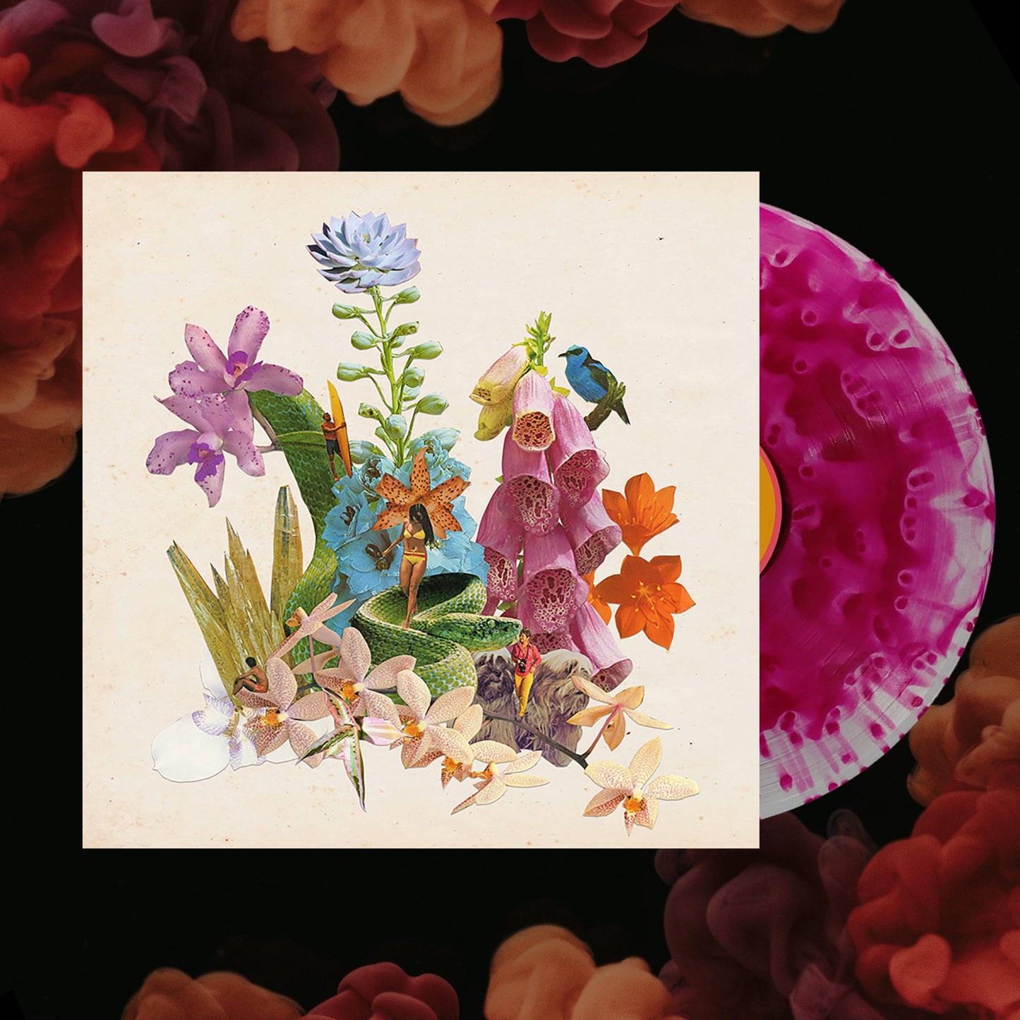Monster Rally – Mystery Cove LP (Purple Orchid Vinyl)